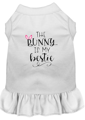 Bunny is my Bestie Screen Print Dog Dress in Many Colors