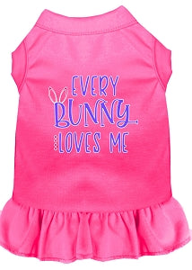 Every Bunny Loves Me Screen Print Dress in Many Colors