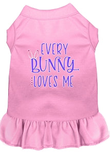 Every Bunny Loves Me Screen Print Dress in Many Colors