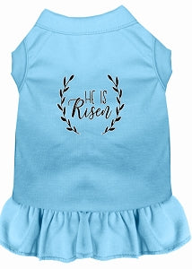 He Is Risen Screen Print Dog Dress in Many Colors
