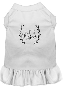 He Is Risen Screen Print Dog Dress in Many Colors