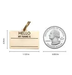 Hello My Name is Pet ID Tag in Gold