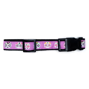 Skeletons Collar & Lead Collection - Purple