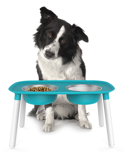 Messy Mutts - Elevated Feeder in Many Colors