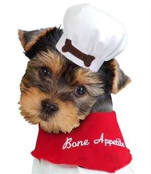 Louis Dog Viola Furaround Bag – Posh Puppy Boutique