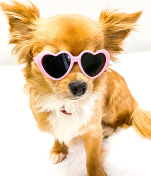 Tiny Dog Heart Sunglasses in Light Pink - Posh Puppy Boutique
