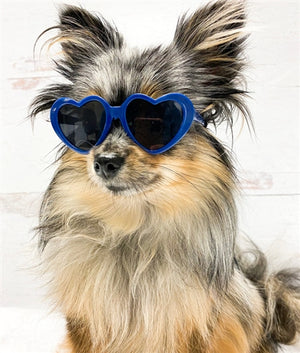 Tiny Dog Heart Sunglasses in Navy - Posh Puppy Boutique