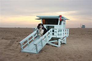 Custom Exclusive Lifeguard Stand Dog House - Posh Puppy Boutique