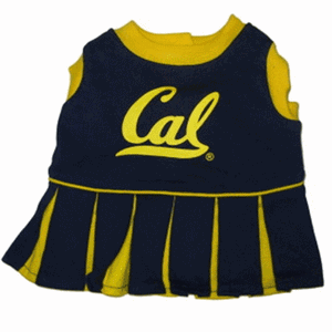 California Berkeley Cheerleader Dog Dress