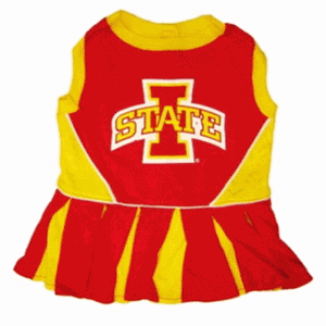 Iowa State Cheerleader Dog Dress
