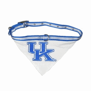 Kentucky Wildcats Collar Bandana