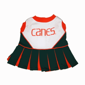 Miami Hurricanes Cheerleader Dog Dress
