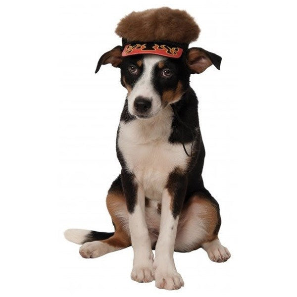 Flame Visor With Spiky Hair For Pets