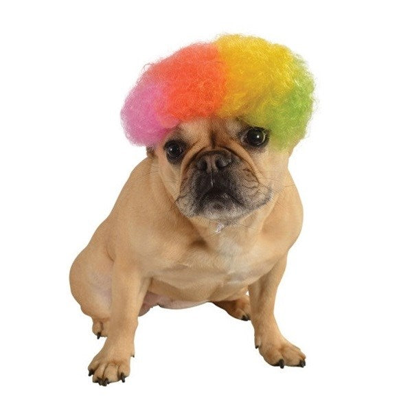 Rainbow Afro Pet Wig