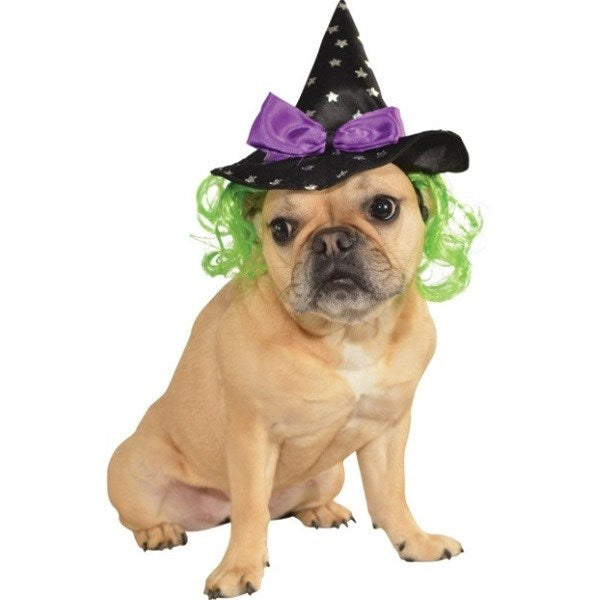 Witch Pet Hat With Hair
