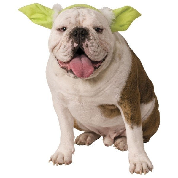 Star Wars Yoda Ears Pet Headpiece