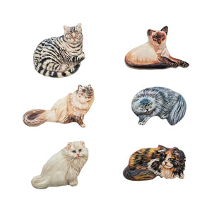 Kitty Magnets, Set Of 6