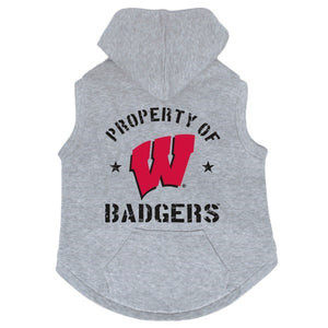 Wisconsin Badgers Hoodie Sweatshirt