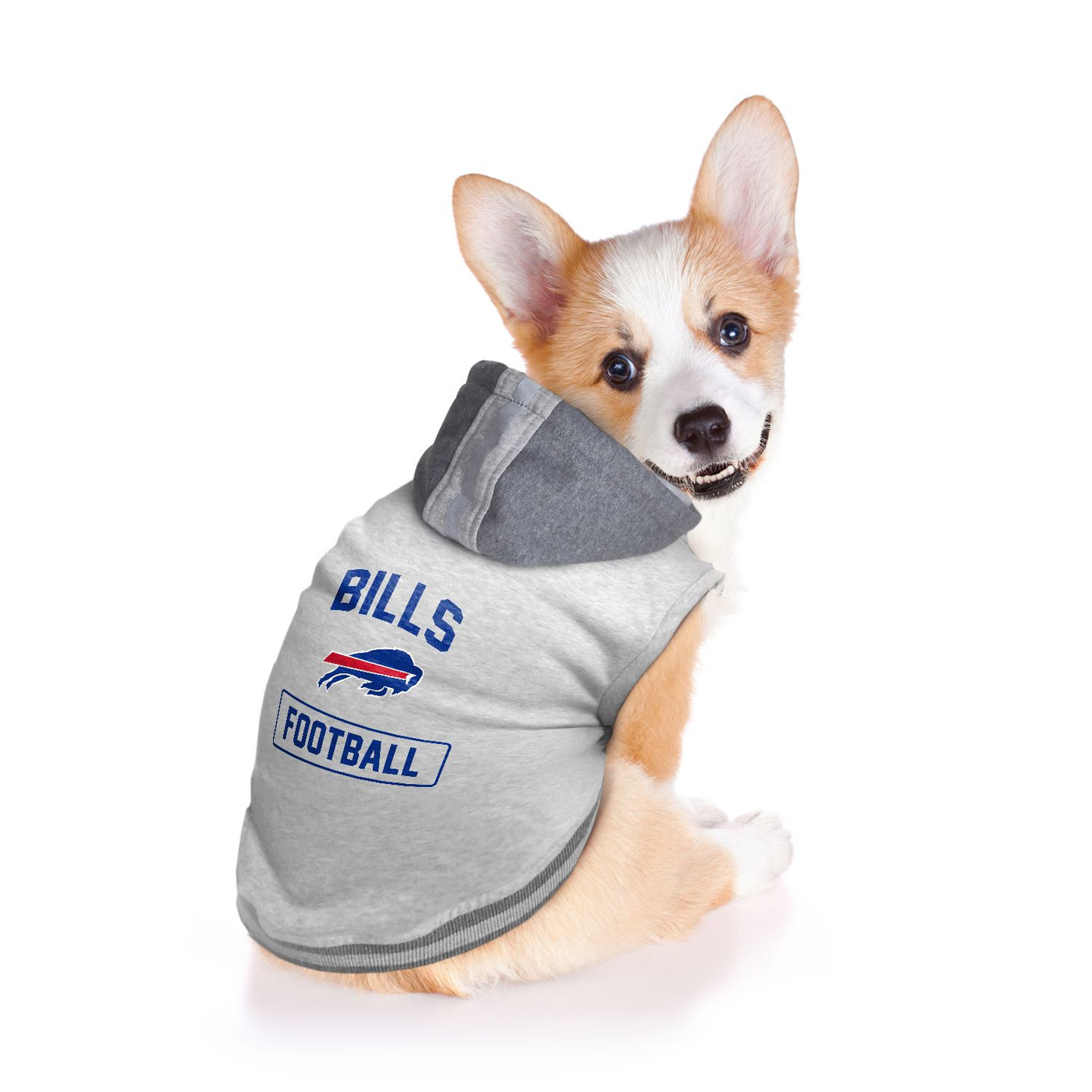bills jersey dog