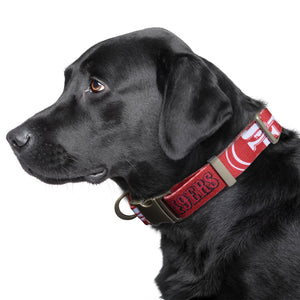 San Francisco 49ers Premium Pet Nylon Collar