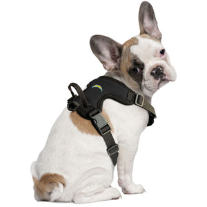 Los Angeles Chargers Front Clip Pet Harness