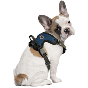 Chicago Bears Front Clip Pet Harness