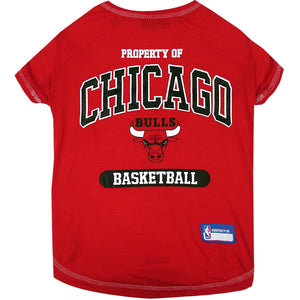 Chicago Bulls Pet T