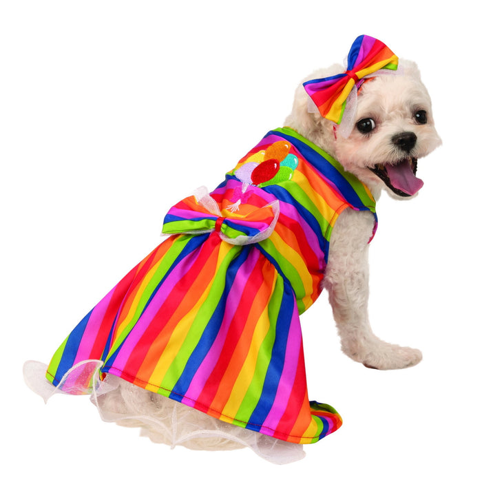 Rainbow Party Pet Costume