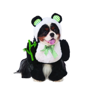 Walking Panda Pet Costume