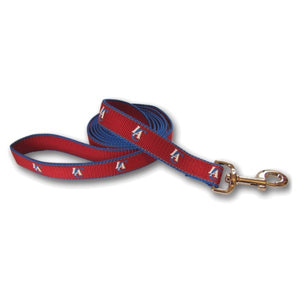 Los Angeles Clippers Reflective Dog Leash