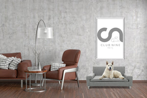 Club Nine Pets Cuccilo Orthopedic Dog Bed in Iron