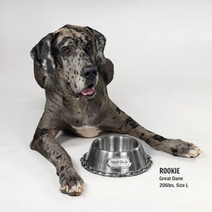 Deluxe Silver Pet Bowl - Off The Chain