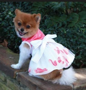 The Flora Dress - Posh Puppy Boutique