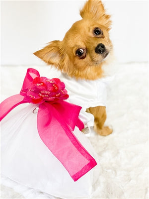 The Madeline Dress with Hot Pink Sash - Posh Puppy Boutique