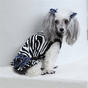 Diva Zebra Dress - Posh Puppy Boutique