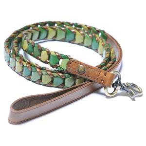 Shades of Green Leather Dog Collar - Posh Puppy Boutique