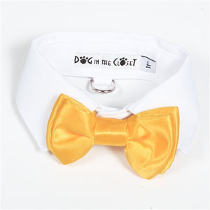 White Shirt Dog Collar with Yellow Bow Tie - Posh Puppy Boutique