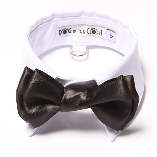 White Shirt Dog Collar with Black Bow Tie