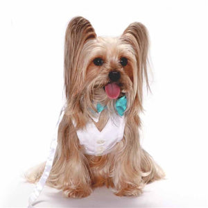 White Shirt Dog Collar with Tiffany Blue Bow Tie - Posh Puppy Boutique