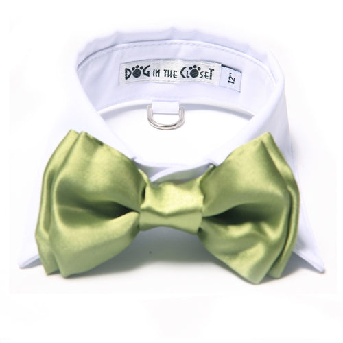White Shirt Dog Collar with Apple Green Bow Tie
