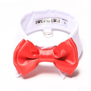 White Shirt Dog Collar with Red Bow Tie - Posh Puppy Boutique