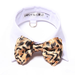 White Shirt Dog Collar with Leopard Bow Tie - Posh Puppy Boutique
