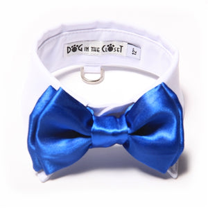 White Shirt Dog Collar with Royal Blue Bow Tie - Posh Puppy Boutique