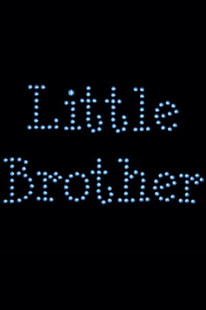 Blue Little Brother Nailheads Bandana- Many Colors - Posh Puppy Boutique