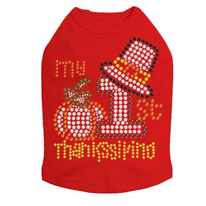 My First Thanksgiving Tank in Many Colors - Posh Puppy Boutique