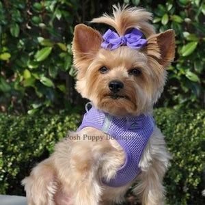 American River Ultra Choke Free Dog Harness - Paisley Purple - Posh Puppy Boutique