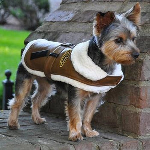 Brown and Black Faux Leather Bomber Dog Coat Harness and Leash - Posh Puppy Boutique