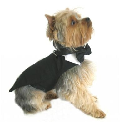 Black Dog Tuxedo With Tails, Bow Tie and Collar