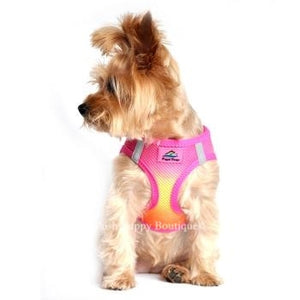 American River Ultra Choke Free Dog Harness- Ombre Collection -Raspberry Pink and Orange - Posh Puppy Boutique