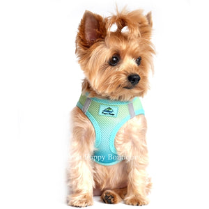 American River Ultra Choke Free Dog Harness- Ombre Collection - Aruba Blue - Posh Puppy Boutique